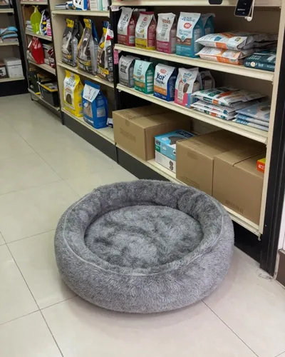 Pet shop, önce: dükkan zemininde gri kedi yatağı